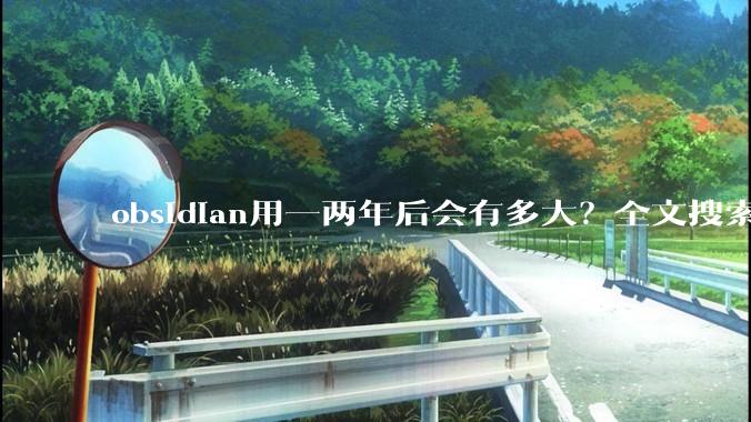 obsidian用一两年后会有多大？全文搜索还快吗？