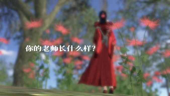 你的老师长什么样？