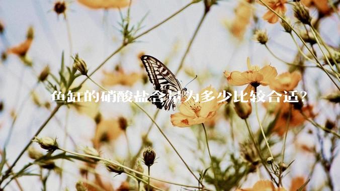 鱼缸的硝酸盐含量为多少比较合适？