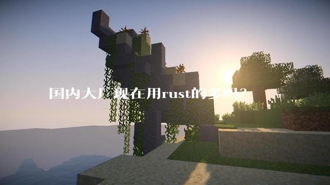 国内大厂现在用rust的多吗？