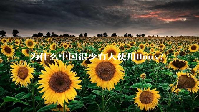 为什么中国很少有人使用linux？